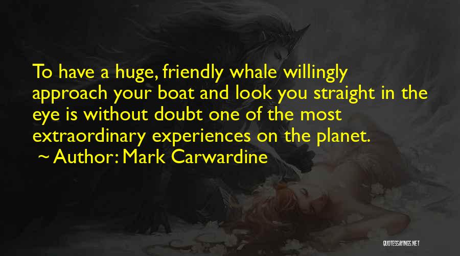 Mark Carwardine Quotes: To Have A Huge, Friendly Whale Willingly Approach Your Boat And Look You Straight In The Eye Is Without Doubt