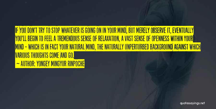 Yongey Mingyur Rinpoche Quotes: If You Don't Try To Stop Whatever Is Going On In Your Mind, But Merely Observe It, Eventually You'll Begin