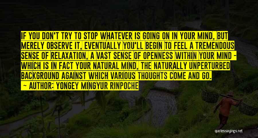 Yongey Mingyur Rinpoche Quotes: If You Don't Try To Stop Whatever Is Going On In Your Mind, But Merely Observe It, Eventually You'll Begin