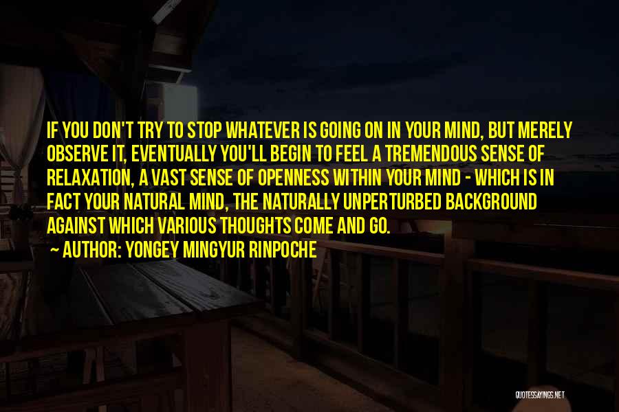 Yongey Mingyur Rinpoche Quotes: If You Don't Try To Stop Whatever Is Going On In Your Mind, But Merely Observe It, Eventually You'll Begin