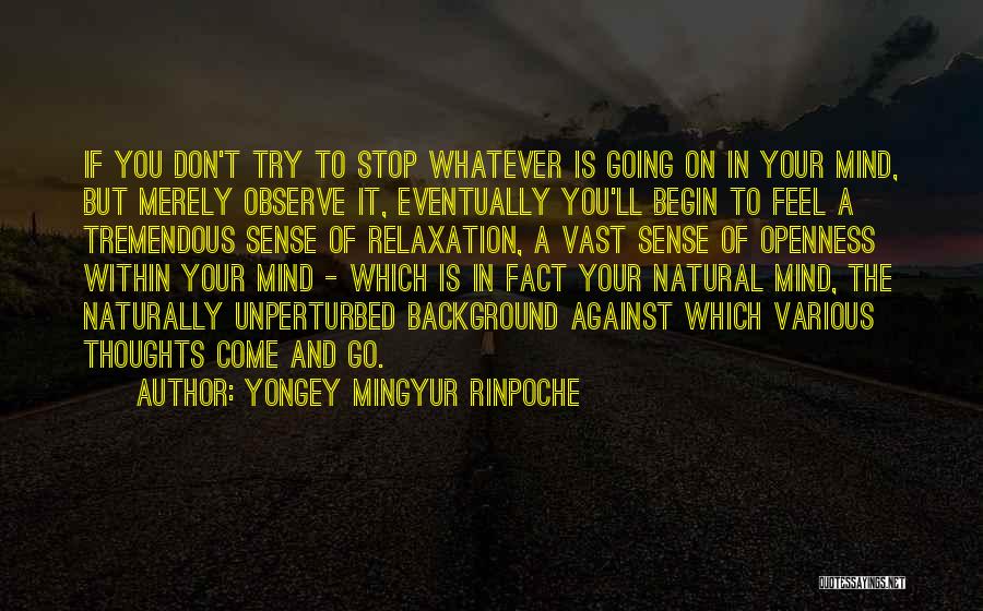 Yongey Mingyur Rinpoche Quotes: If You Don't Try To Stop Whatever Is Going On In Your Mind, But Merely Observe It, Eventually You'll Begin