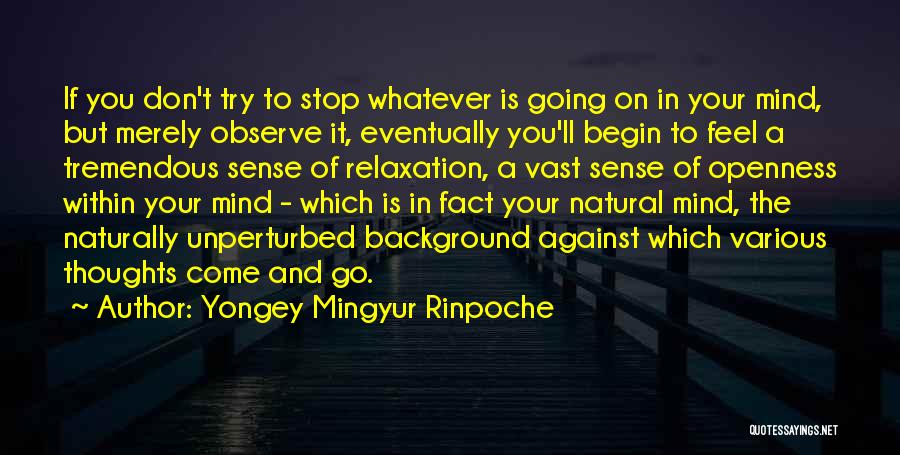 Yongey Mingyur Rinpoche Quotes: If You Don't Try To Stop Whatever Is Going On In Your Mind, But Merely Observe It, Eventually You'll Begin