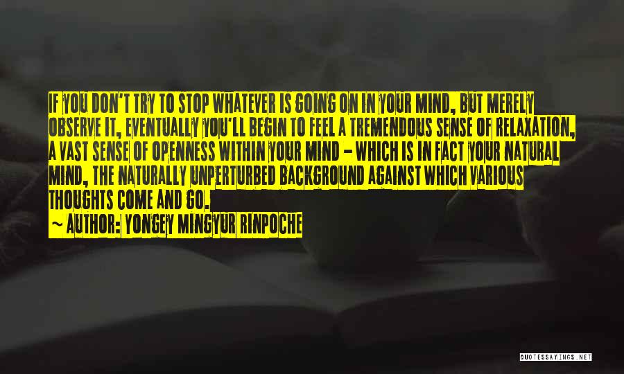 Yongey Mingyur Rinpoche Quotes: If You Don't Try To Stop Whatever Is Going On In Your Mind, But Merely Observe It, Eventually You'll Begin