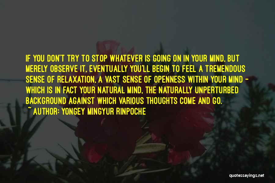 Yongey Mingyur Rinpoche Quotes: If You Don't Try To Stop Whatever Is Going On In Your Mind, But Merely Observe It, Eventually You'll Begin