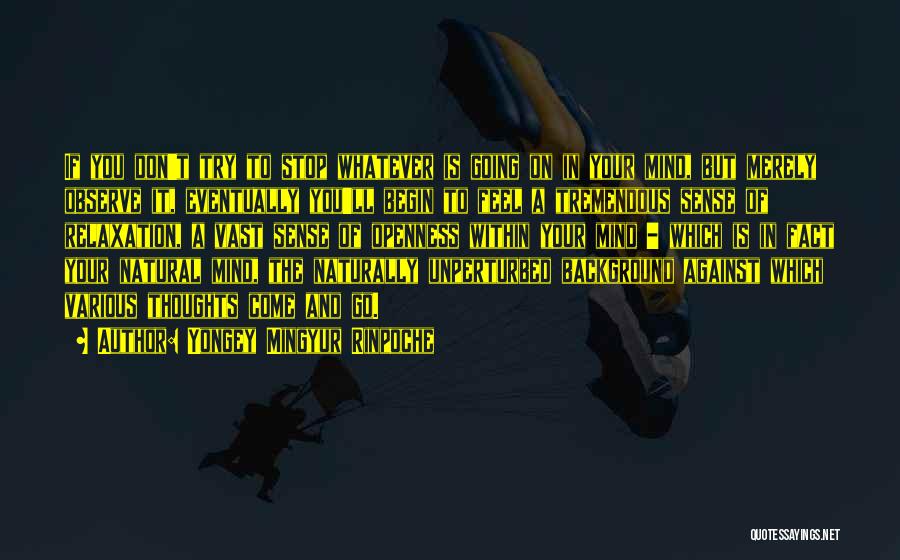 Yongey Mingyur Rinpoche Quotes: If You Don't Try To Stop Whatever Is Going On In Your Mind, But Merely Observe It, Eventually You'll Begin