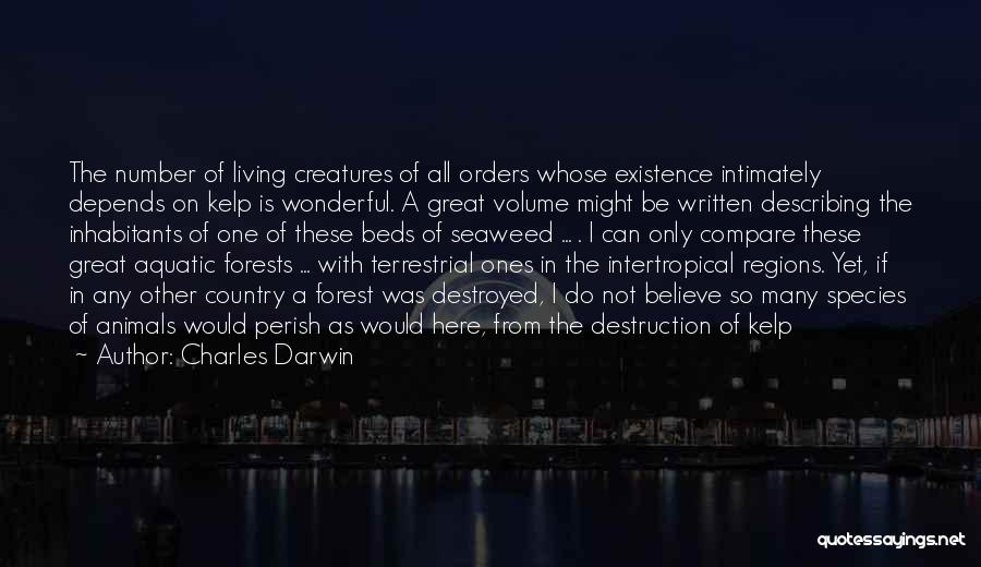 Charles Darwin Quotes: The Number Of Living Creatures Of All Orders Whose Existence Intimately Depends On Kelp Is Wonderful. A Great Volume Might