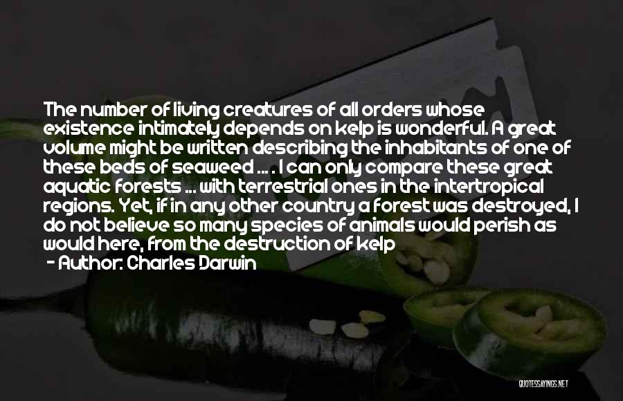 Charles Darwin Quotes: The Number Of Living Creatures Of All Orders Whose Existence Intimately Depends On Kelp Is Wonderful. A Great Volume Might