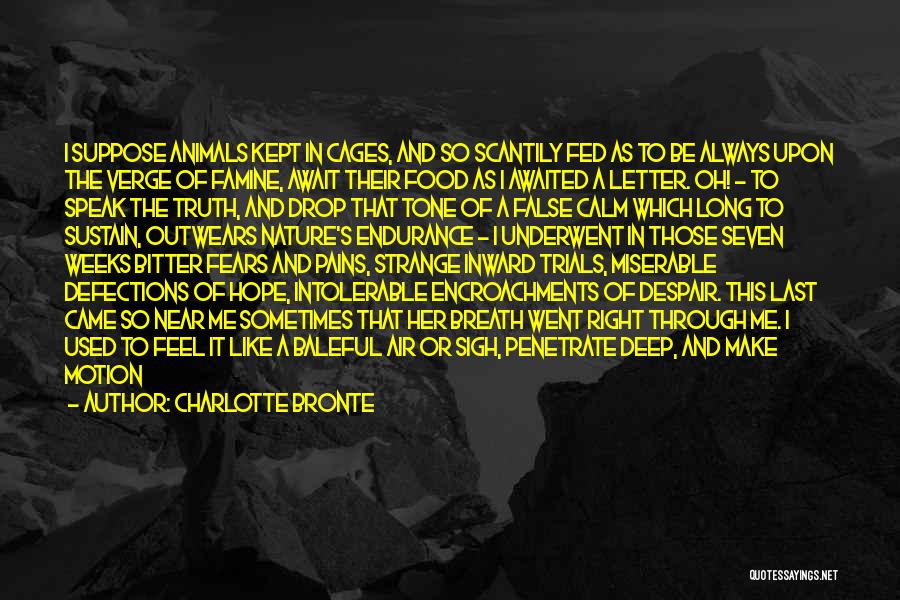 Charlotte Bronte Quotes: I Suppose Animals Kept In Cages, And So Scantily Fed As To Be Always Upon The Verge Of Famine, Await