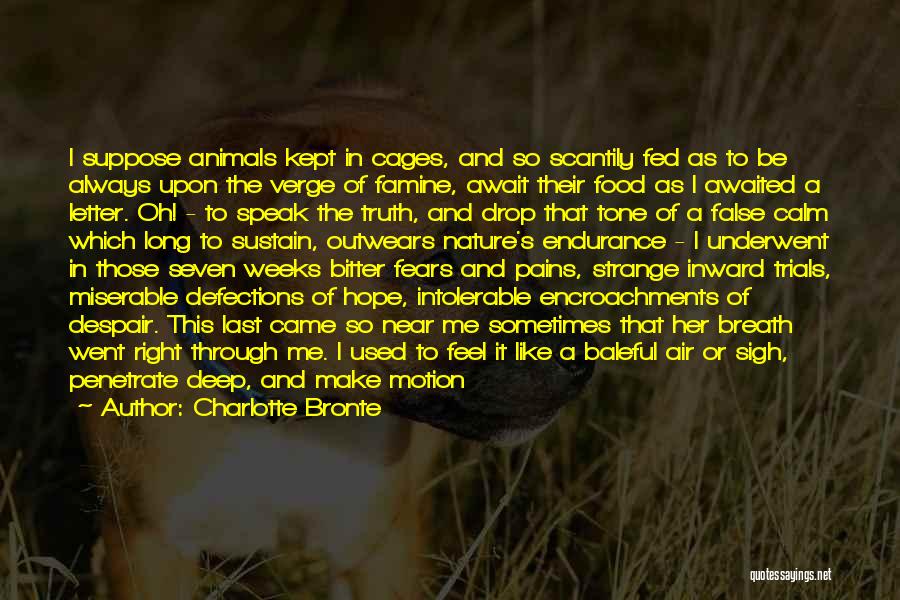 Charlotte Bronte Quotes: I Suppose Animals Kept In Cages, And So Scantily Fed As To Be Always Upon The Verge Of Famine, Await