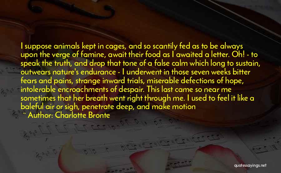 Charlotte Bronte Quotes: I Suppose Animals Kept In Cages, And So Scantily Fed As To Be Always Upon The Verge Of Famine, Await