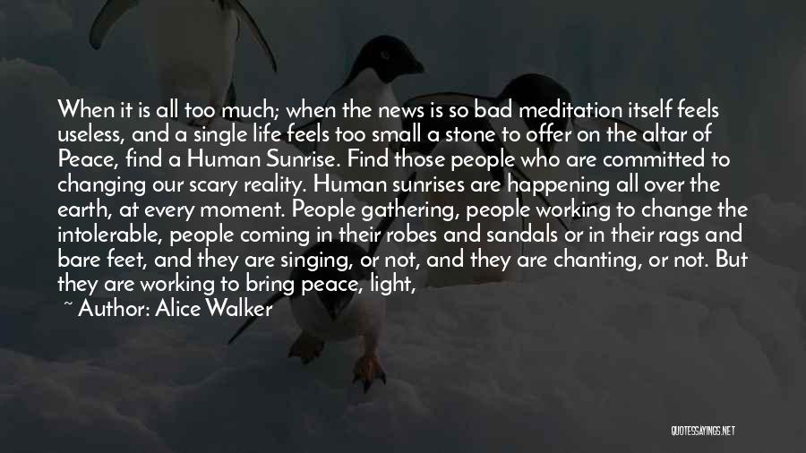 Alice Walker Quotes: When It Is All Too Much; When The News Is So Bad Meditation Itself Feels Useless, And A Single Life