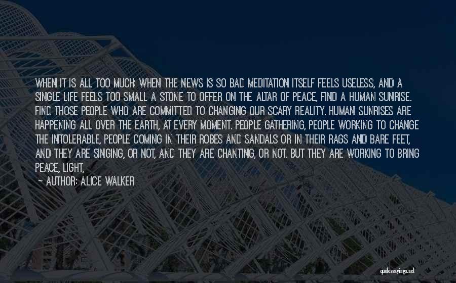 Alice Walker Quotes: When It Is All Too Much; When The News Is So Bad Meditation Itself Feels Useless, And A Single Life