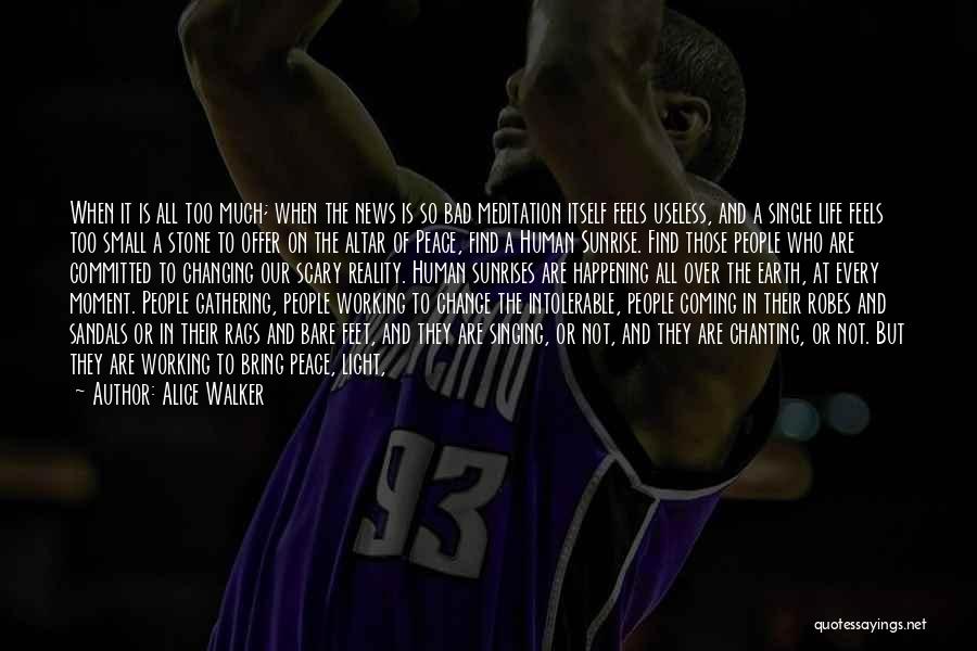 Alice Walker Quotes: When It Is All Too Much; When The News Is So Bad Meditation Itself Feels Useless, And A Single Life