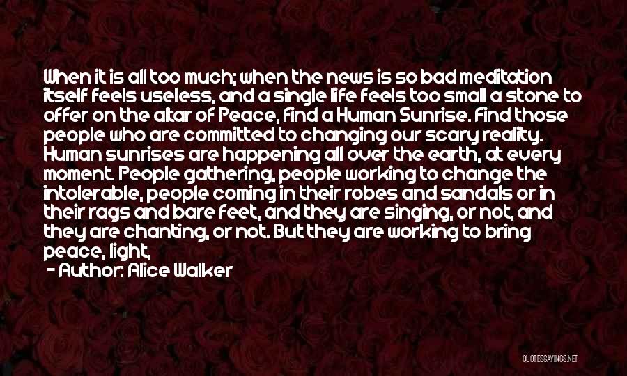 Alice Walker Quotes: When It Is All Too Much; When The News Is So Bad Meditation Itself Feels Useless, And A Single Life