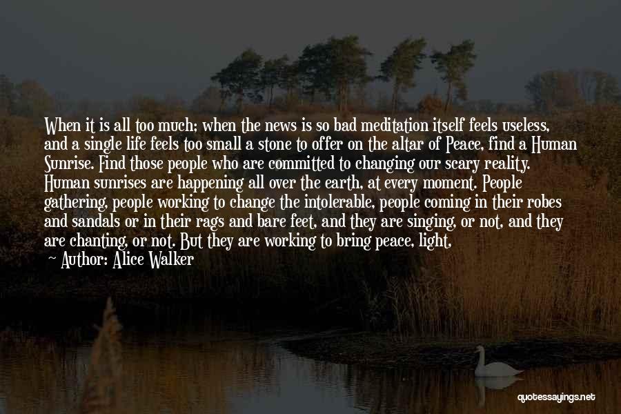 Alice Walker Quotes: When It Is All Too Much; When The News Is So Bad Meditation Itself Feels Useless, And A Single Life