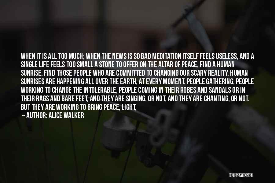 Alice Walker Quotes: When It Is All Too Much; When The News Is So Bad Meditation Itself Feels Useless, And A Single Life