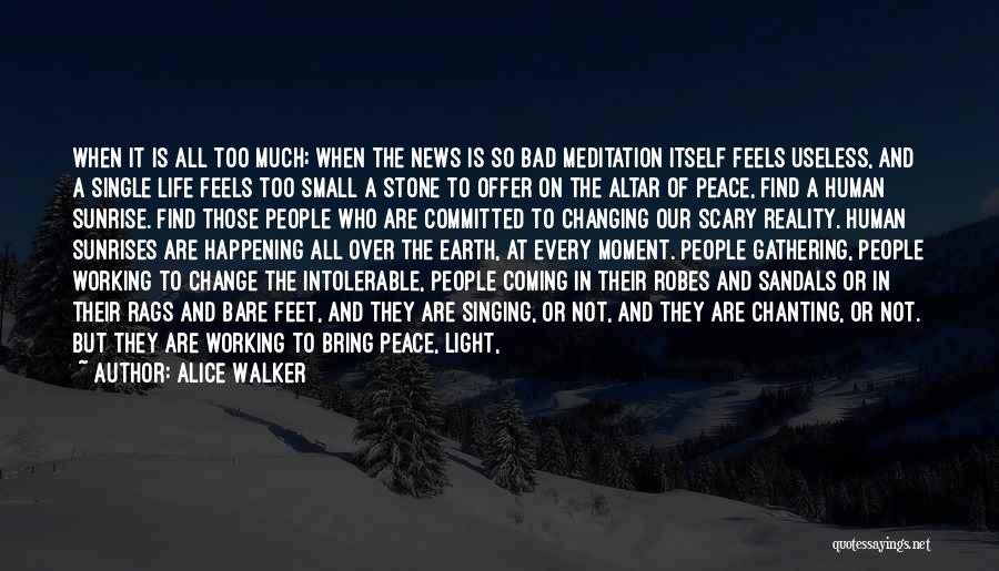 Alice Walker Quotes: When It Is All Too Much; When The News Is So Bad Meditation Itself Feels Useless, And A Single Life