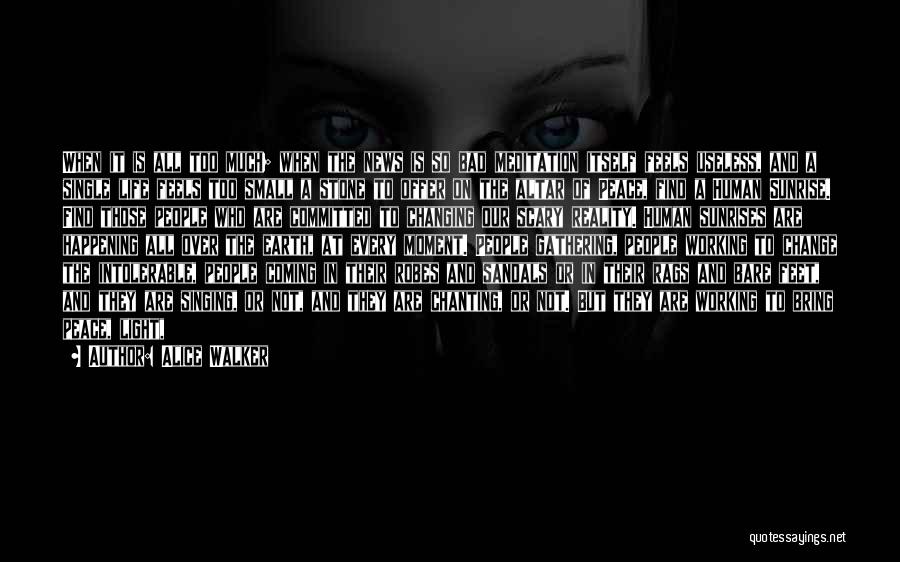 Alice Walker Quotes: When It Is All Too Much; When The News Is So Bad Meditation Itself Feels Useless, And A Single Life