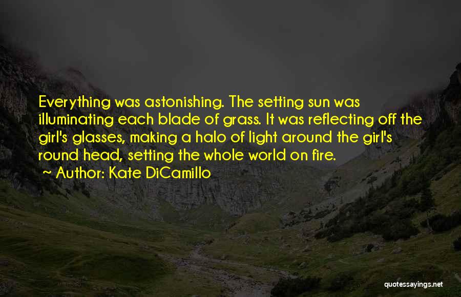 Kate DiCamillo Quotes: Everything Was Astonishing. The Setting Sun Was Illuminating Each Blade Of Grass. It Was Reflecting Off The Girl's Glasses, Making