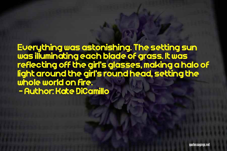 Kate DiCamillo Quotes: Everything Was Astonishing. The Setting Sun Was Illuminating Each Blade Of Grass. It Was Reflecting Off The Girl's Glasses, Making