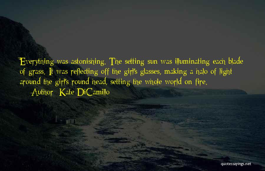 Kate DiCamillo Quotes: Everything Was Astonishing. The Setting Sun Was Illuminating Each Blade Of Grass. It Was Reflecting Off The Girl's Glasses, Making