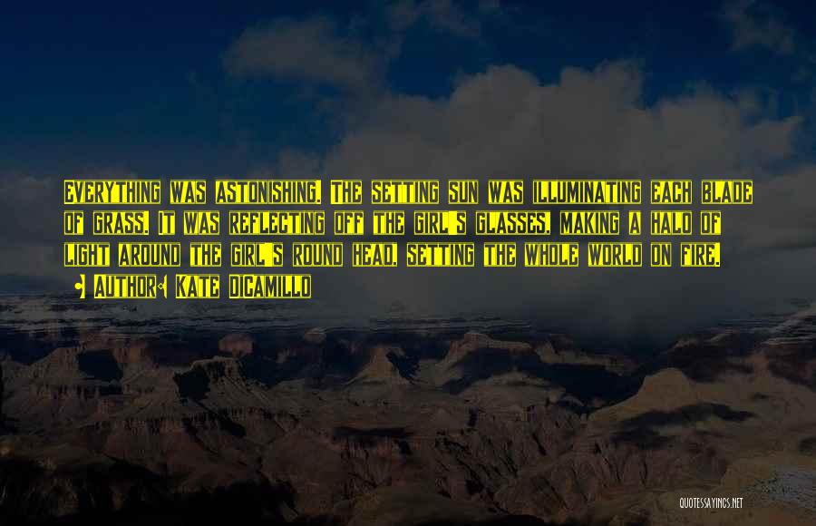 Kate DiCamillo Quotes: Everything Was Astonishing. The Setting Sun Was Illuminating Each Blade Of Grass. It Was Reflecting Off The Girl's Glasses, Making