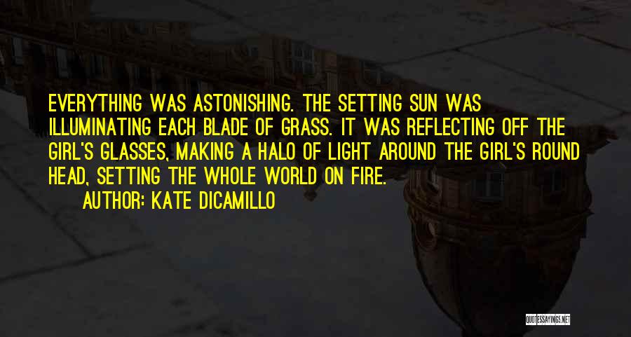 Kate DiCamillo Quotes: Everything Was Astonishing. The Setting Sun Was Illuminating Each Blade Of Grass. It Was Reflecting Off The Girl's Glasses, Making