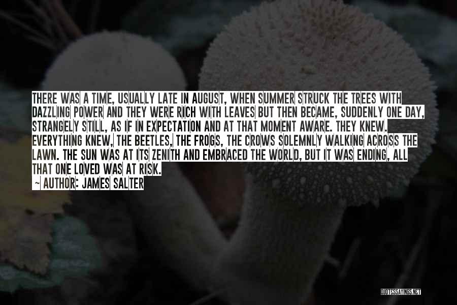 James Salter Quotes: There Was A Time, Usually Late In August, When Summer Struck The Trees With Dazzling Power And They Were Rich