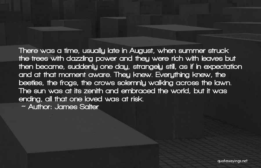 James Salter Quotes: There Was A Time, Usually Late In August, When Summer Struck The Trees With Dazzling Power And They Were Rich