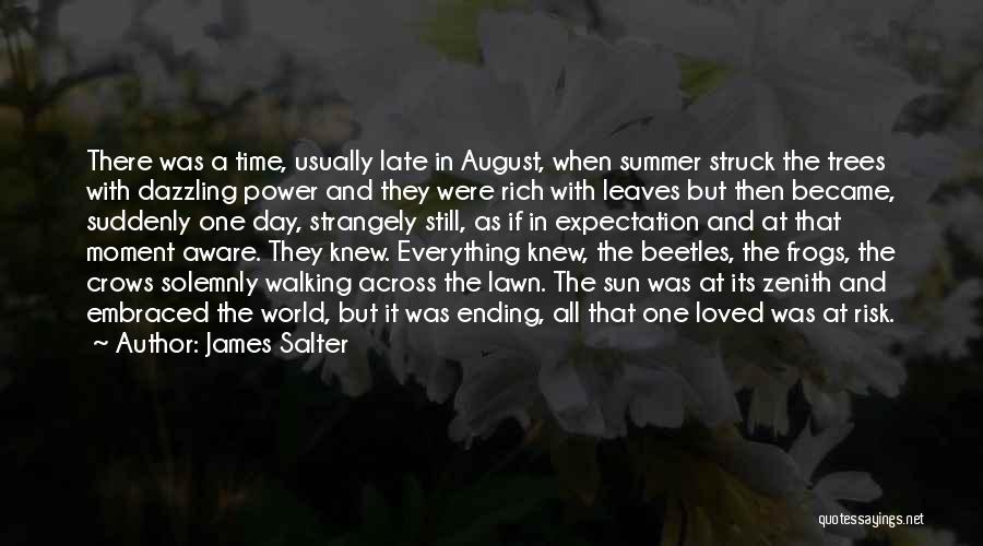 James Salter Quotes: There Was A Time, Usually Late In August, When Summer Struck The Trees With Dazzling Power And They Were Rich