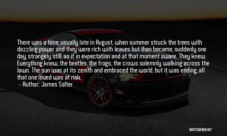 James Salter Quotes: There Was A Time, Usually Late In August, When Summer Struck The Trees With Dazzling Power And They Were Rich