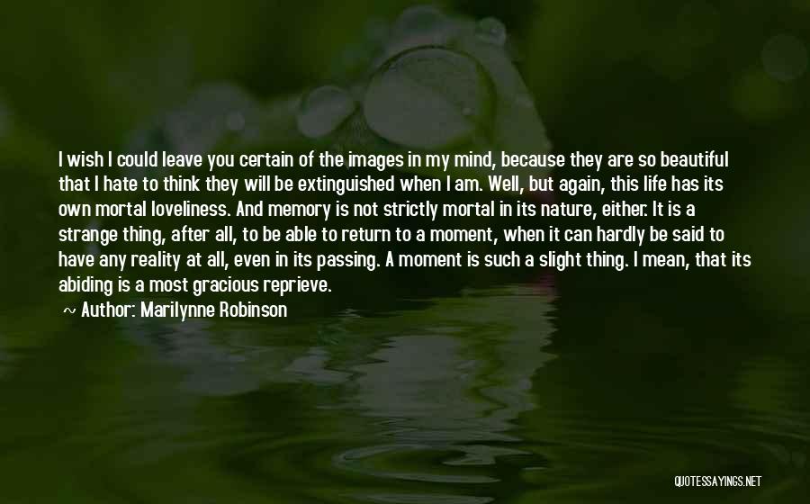 Marilynne Robinson Quotes: I Wish I Could Leave You Certain Of The Images In My Mind, Because They Are So Beautiful That I