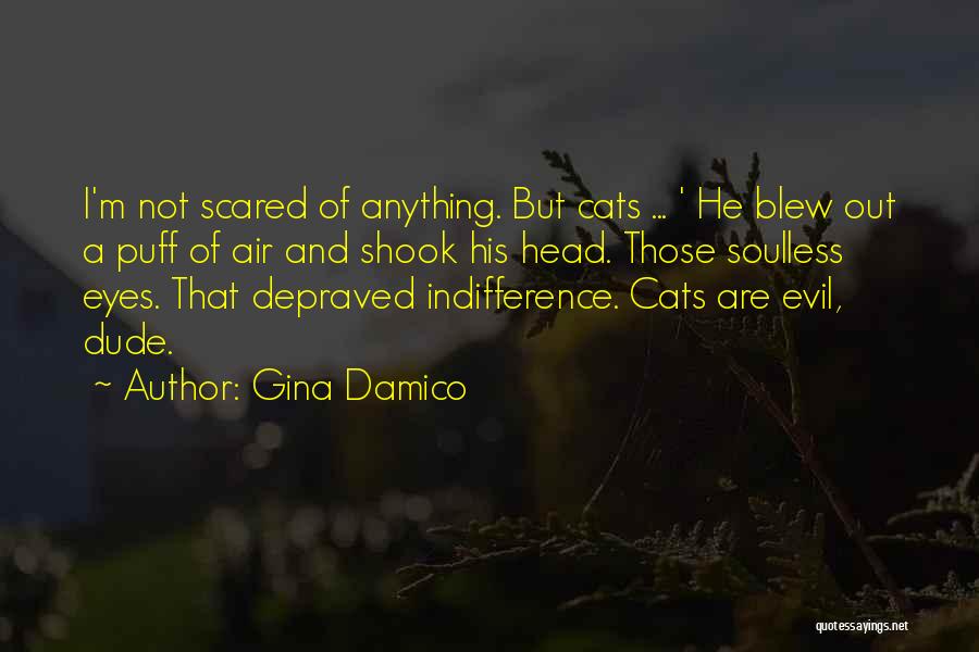 Gina Damico Quotes: I'm Not Scared Of Anything. But Cats ... ' He Blew Out A Puff Of Air And Shook His Head.