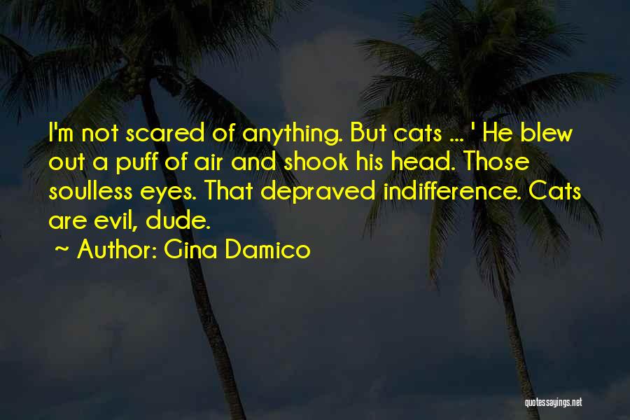 Gina Damico Quotes: I'm Not Scared Of Anything. But Cats ... ' He Blew Out A Puff Of Air And Shook His Head.