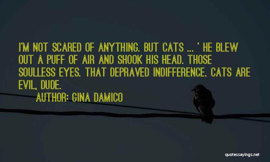 Gina Damico Quotes: I'm Not Scared Of Anything. But Cats ... ' He Blew Out A Puff Of Air And Shook His Head.