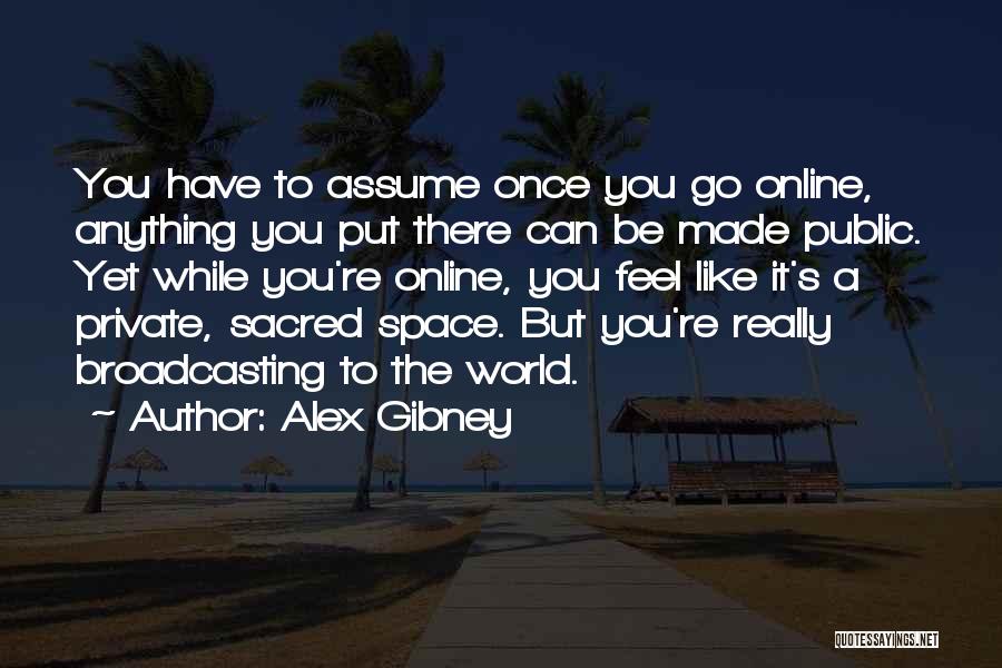 Alex Gibney Quotes: You Have To Assume Once You Go Online, Anything You Put There Can Be Made Public. Yet While You're Online,