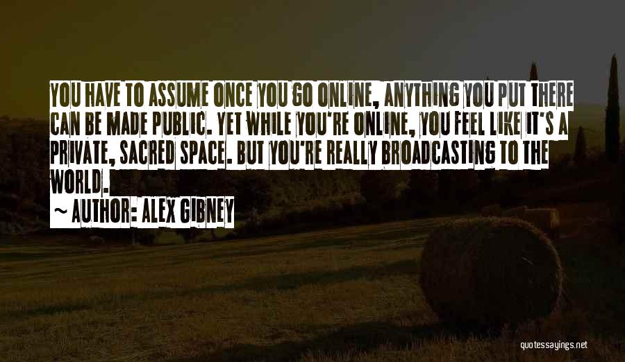 Alex Gibney Quotes: You Have To Assume Once You Go Online, Anything You Put There Can Be Made Public. Yet While You're Online,