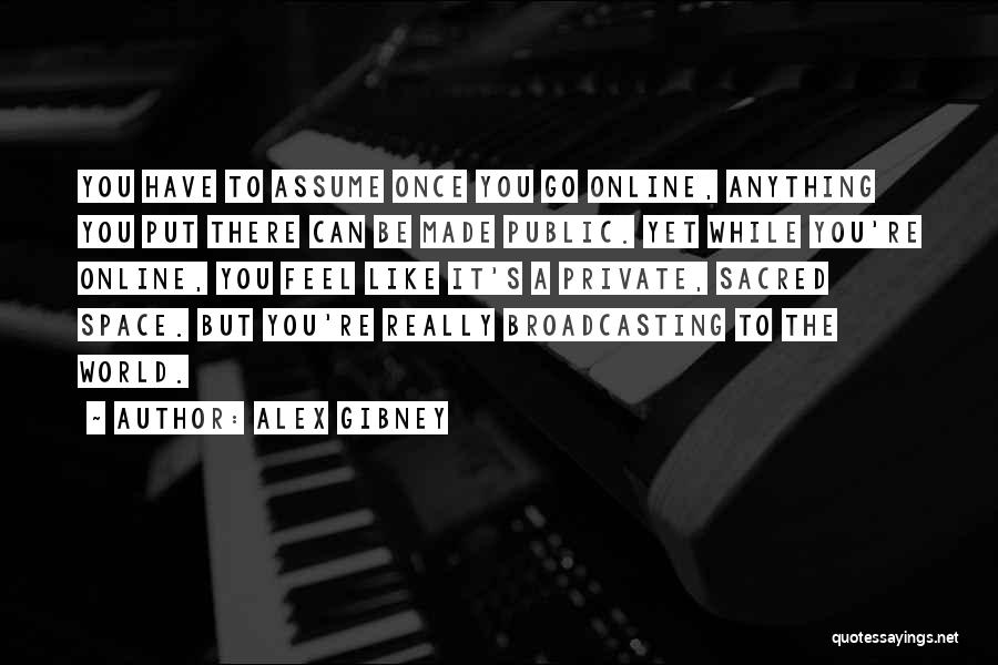 Alex Gibney Quotes: You Have To Assume Once You Go Online, Anything You Put There Can Be Made Public. Yet While You're Online,