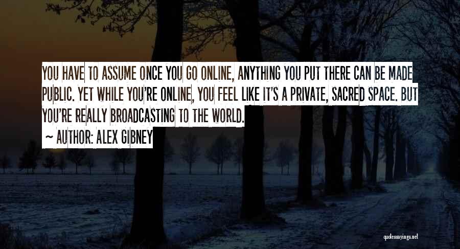 Alex Gibney Quotes: You Have To Assume Once You Go Online, Anything You Put There Can Be Made Public. Yet While You're Online,