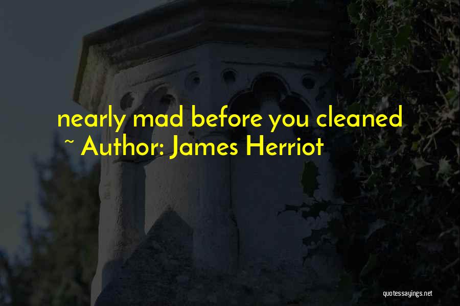 James Herriot Quotes: Nearly Mad Before You Cleaned