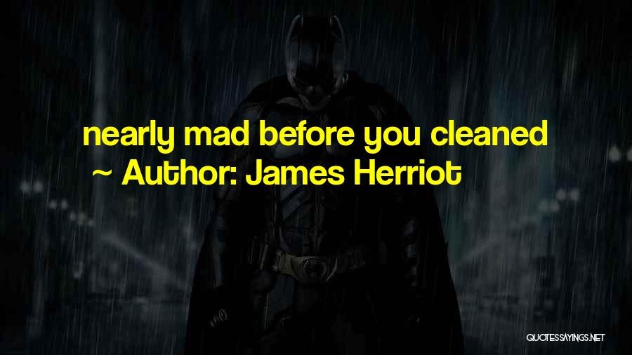 James Herriot Quotes: Nearly Mad Before You Cleaned