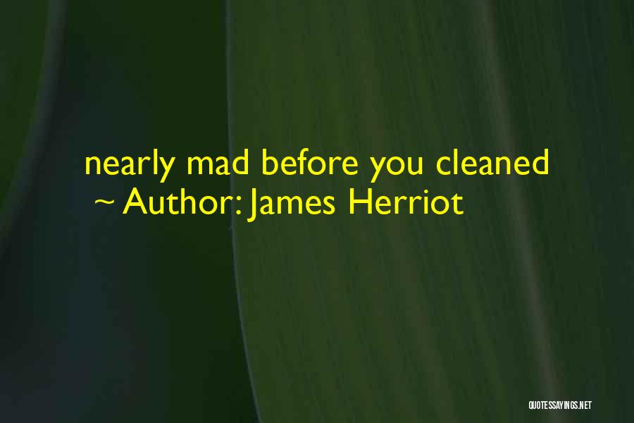 James Herriot Quotes: Nearly Mad Before You Cleaned