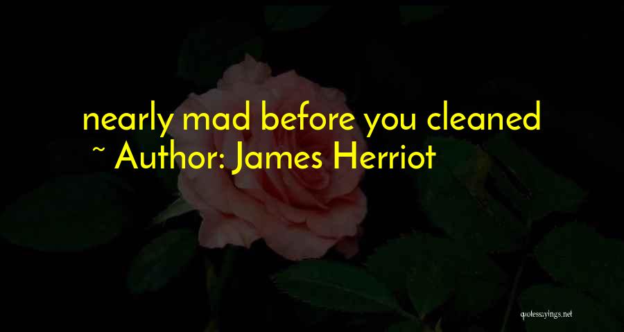 James Herriot Quotes: Nearly Mad Before You Cleaned