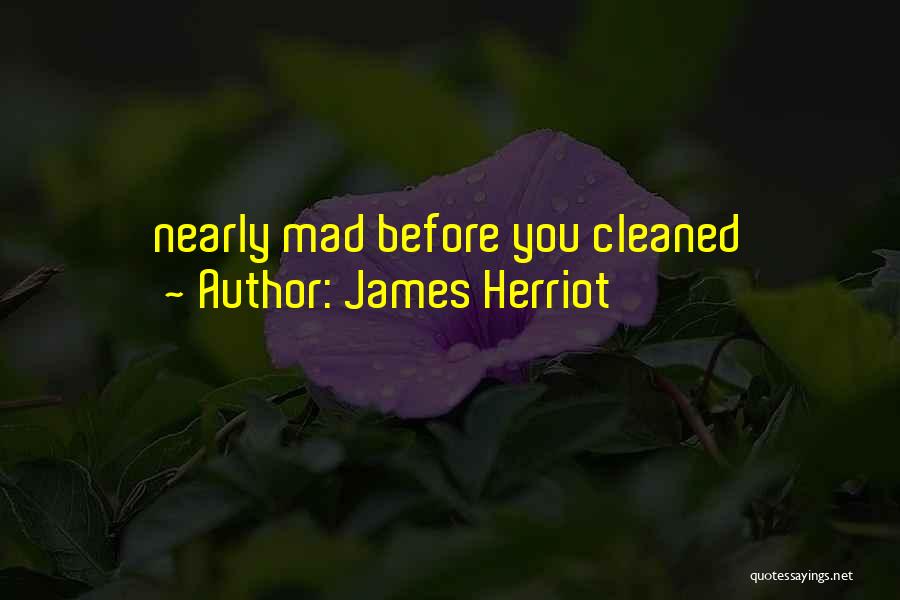 James Herriot Quotes: Nearly Mad Before You Cleaned