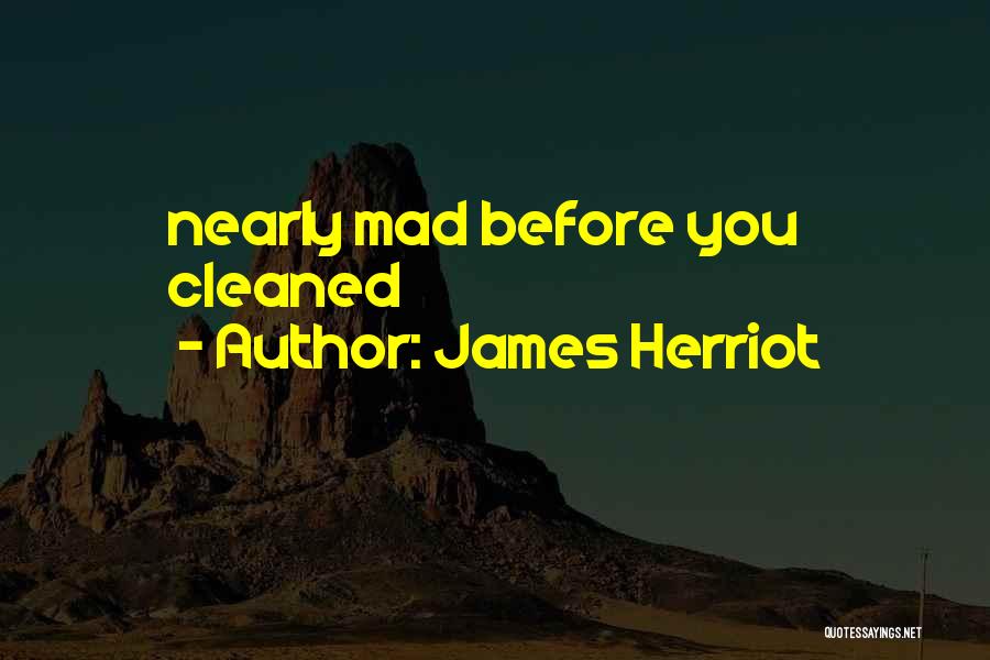 James Herriot Quotes: Nearly Mad Before You Cleaned