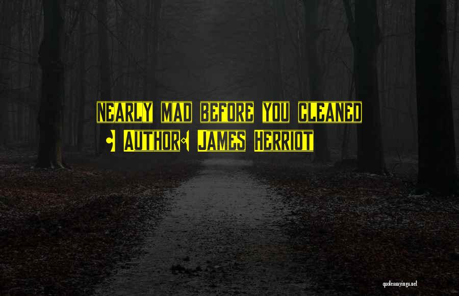 James Herriot Quotes: Nearly Mad Before You Cleaned