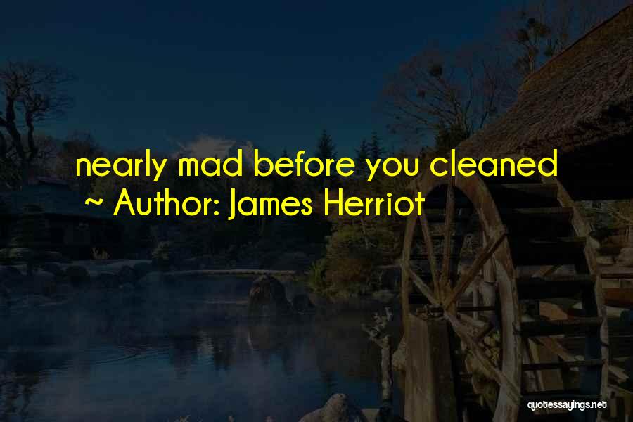 James Herriot Quotes: Nearly Mad Before You Cleaned