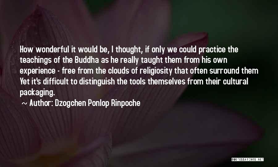 Dzogchen Ponlop Rinpoche Quotes: How Wonderful It Would Be, I Thought, If Only We Could Practice The Teachings Of The Buddha As He Really