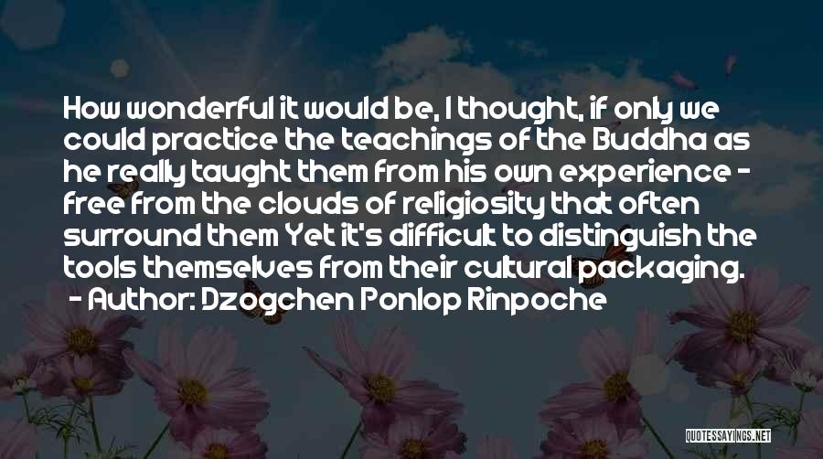 Dzogchen Ponlop Rinpoche Quotes: How Wonderful It Would Be, I Thought, If Only We Could Practice The Teachings Of The Buddha As He Really