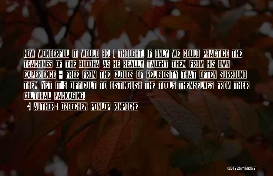 Dzogchen Ponlop Rinpoche Quotes: How Wonderful It Would Be, I Thought, If Only We Could Practice The Teachings Of The Buddha As He Really